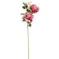 RÓŻA - Gałązka 2 kwiaty i pąk Peach Purple 63 cm